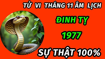 Sự thật 100% trong tháng 11 âm lịch cho tuổi đinh Tỵ 1977 bão lộc đổ về trúng mánh đổi đời giàu to 
