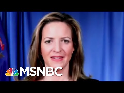 Jocelyn Benson Assures Vote Will Be 'Accurate Reflection Of The Will Of The People' | MSNBC
