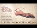TIRELESS CREW "Entre deux chaises"