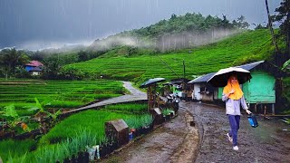Turun Hujan Dan Kabut di Pedesaan! Nambah Betah Dan Indah Suasana Kampung di Tengah Sawah