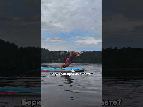 Информация о сходке в ТГК: Lordix360 #спорт #workout #sports #calisthenics #fitness #турник #юмор