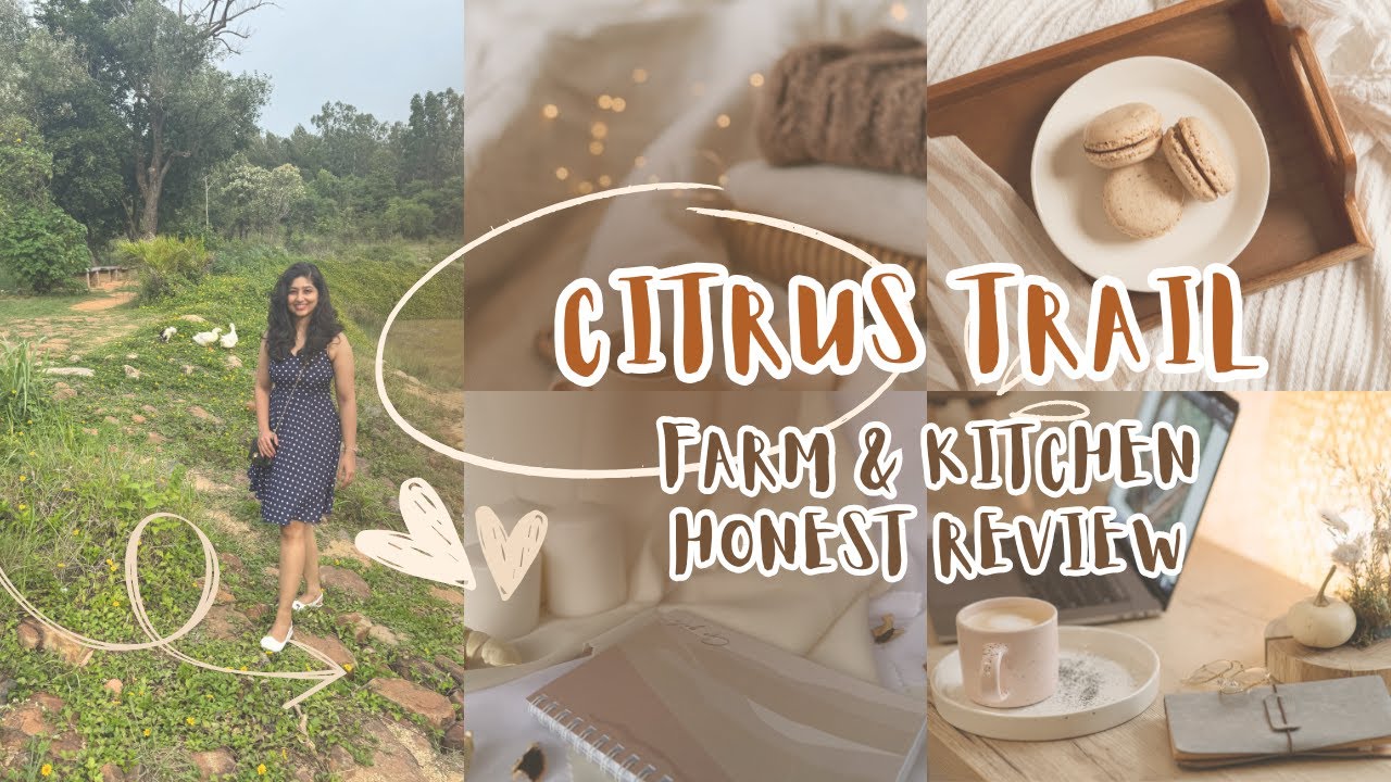 Instagram vs Reality at Citrus Trail Cafe 😵 | Brutally Honest Review🚫