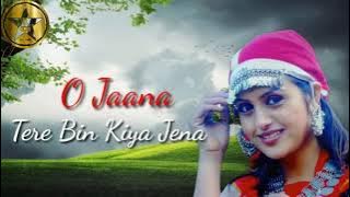 O Jana O meri Jana - Tere Bin Kiya Jena | Kumar Sanu Album| From RabiChandra Rajput| OLD IS GOLD