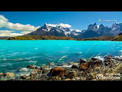 صوت اجمل من الخيال القارئ محمد النقيب ما تيسر من سوره مريم 