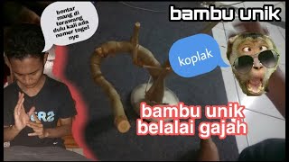 Bambu petuk bambu unik melingkar bambu kurung