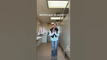 Wildflower On Top Bru Edit Capcut Billieeilish Wildflower Viralvideo Fypyoutube Famousshorts 