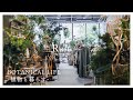 【観葉植物】「大人かわいい」Rustの新店舗!植物との暮らしを楽しむヒントが詰まった上質な園芸店|Rust Sakae|中日ビル|名古屋|栄