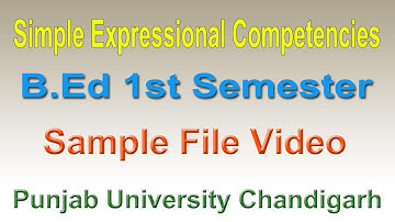 Simple Expressional Competencies file for B.ed 1st Semester PU Chandigarh Art file