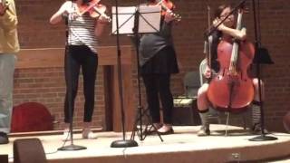 Rolling in the Deep at Creative Strings Workshop 2017 Final Concert