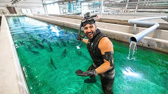 Exploring Florida's TROPHY BASS Factory with RECORD FISH!! (big bass experiments)