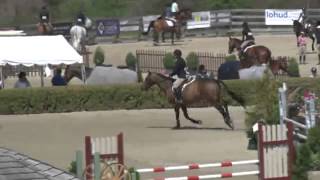 Video of CAPRI DU BUISON Z ridden by TEDDY VLOCK from ShowNet!