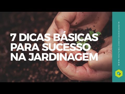 Vídeo: Noções Básicas De Jardinagem De Acordo Com Mittlider. Princípios Básicos. Prós E Contras. Foto