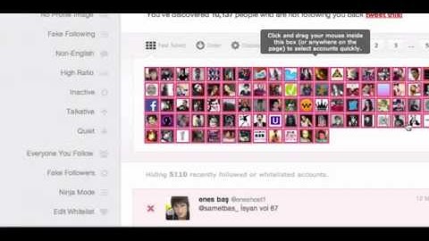 Manage your Twitter lists with ManageFlitter