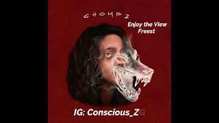 Zalchamist The Creator-Enjoy The View Freestyle