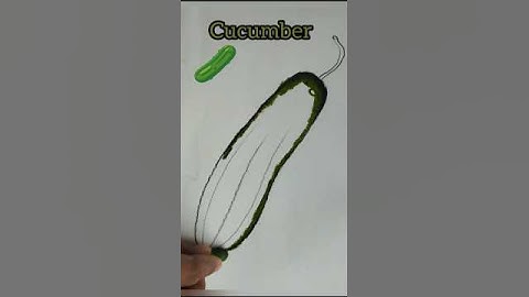 CUCUMBER / #shortsfeed #shortvideo #shorts #cucumber