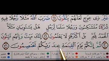 برنامج إعراب القرآن الكريم سورة الزمر آية (30+31)