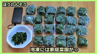 【ほうれん草 栽培ノウハウ】種まき～冷凍保存まで一気見 家庭菜園30年目