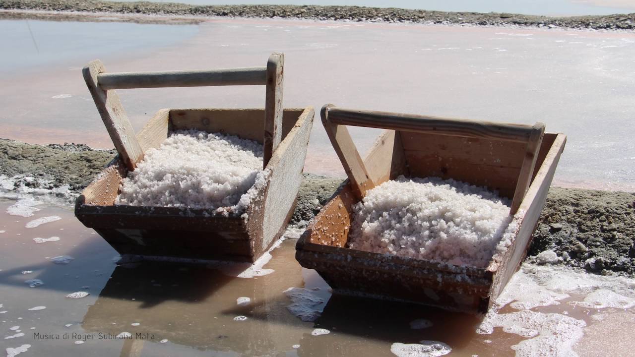 Salina Camillone di Cervia -  Presentazione azienda