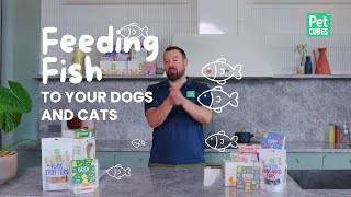 Is Fish Good For My Pet? | Can I feed my dog fish? by PetCubes Official 4,691 views 9 months ago 5 minutes, 13 seconds