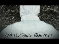 Natures beast  coming soon