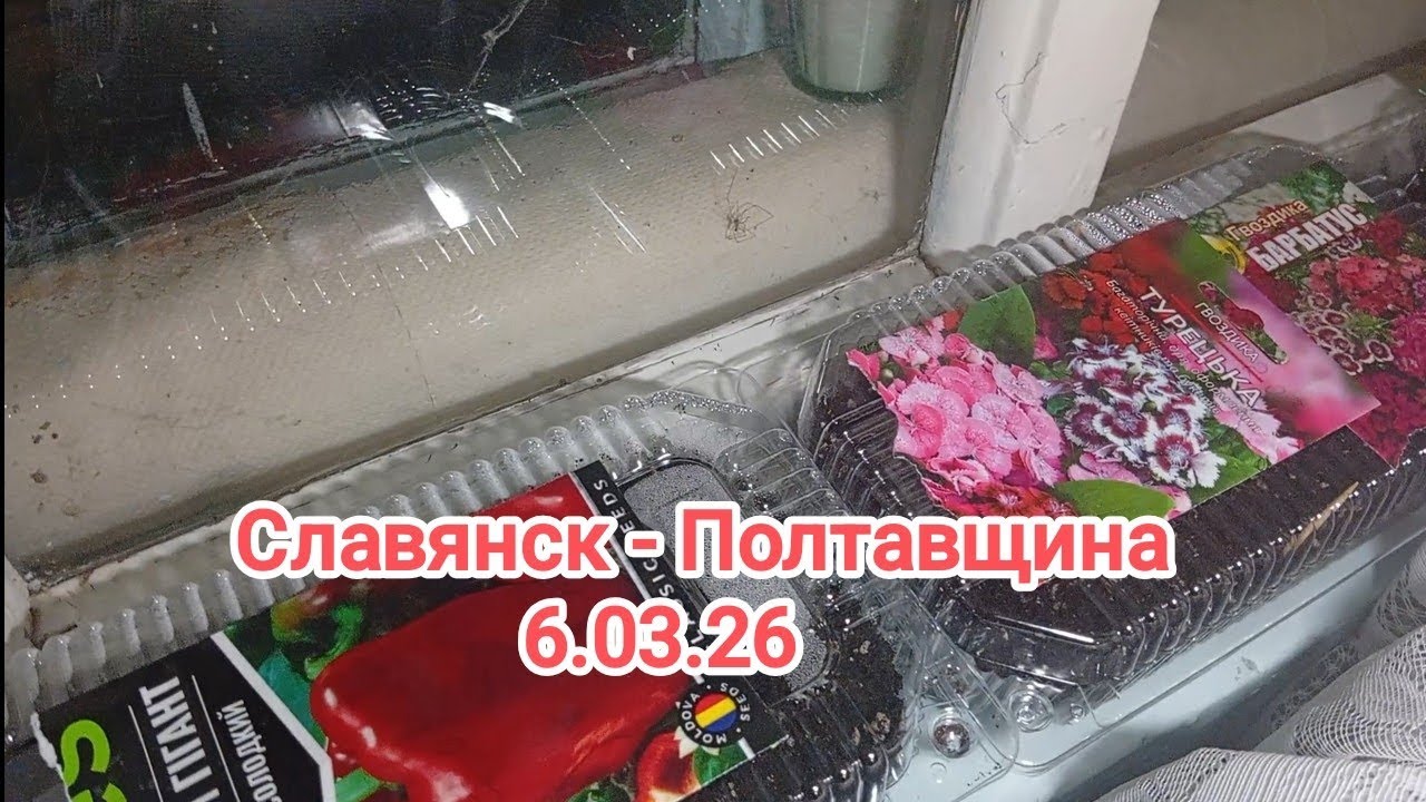 Жена что то посеяла.