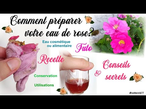 Vidéo: DIY Rose Water - Utilisez les roses de votre jardin pour faire de l'eau de rose