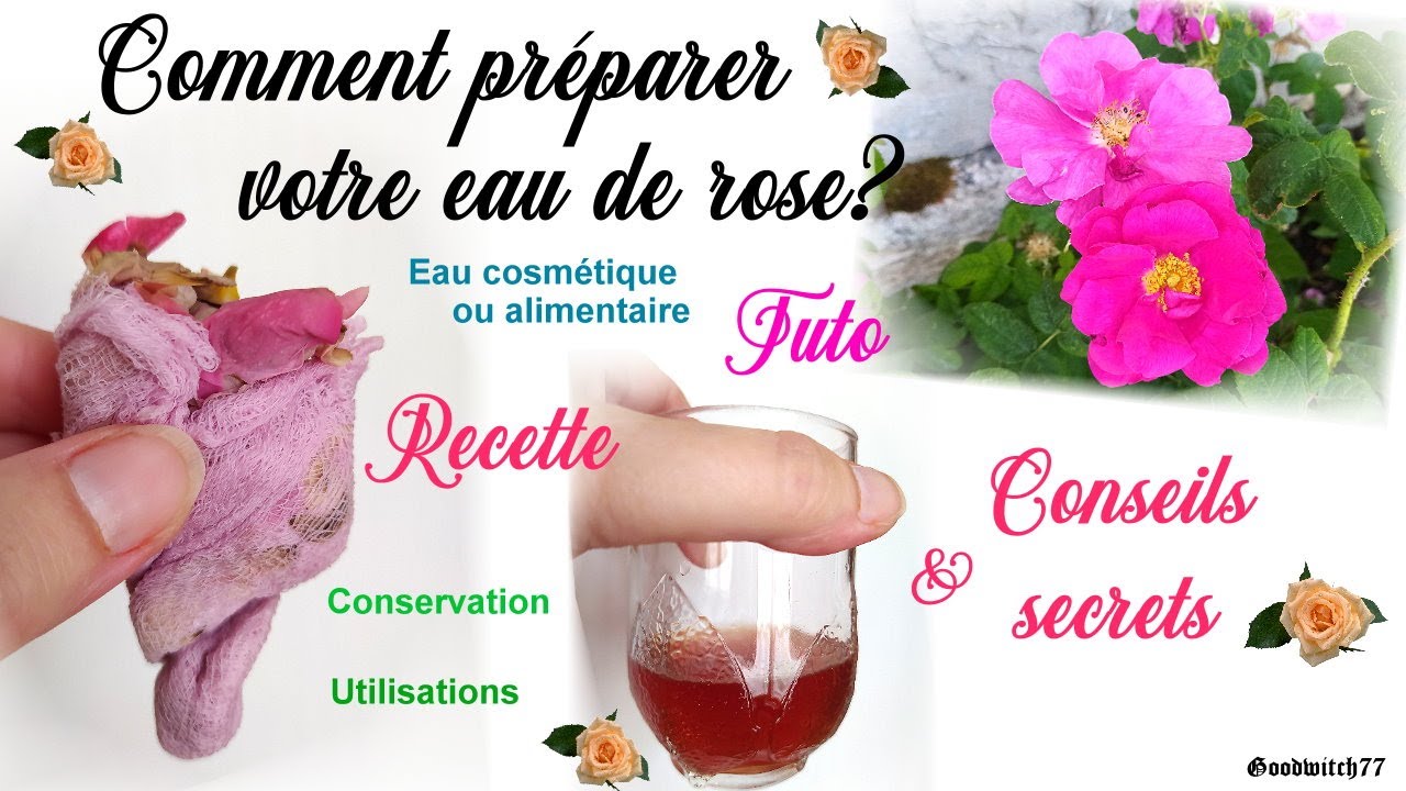Comment faire son eau de rose maison recette DIY facile & secrets. How