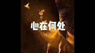 201604 心在何处21751