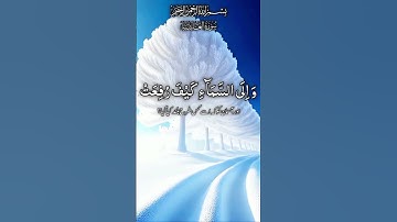 سورةالغاشية❤️#قران_كريم #تلاوت_دلنشین #تلاوة_خاشعة #تلاوة #قرآن