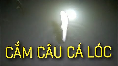 Tập 103: Cắm câu đêm tối đen như mực nhưng trúng lớn. Bán cần câu cắm cá lóc bằng tre gai 0936059090
