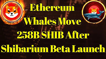 Breaking Crypto News | Shiba Inu: Ethereum Whales Move 258B SHIB After Shibarium Beta Launch