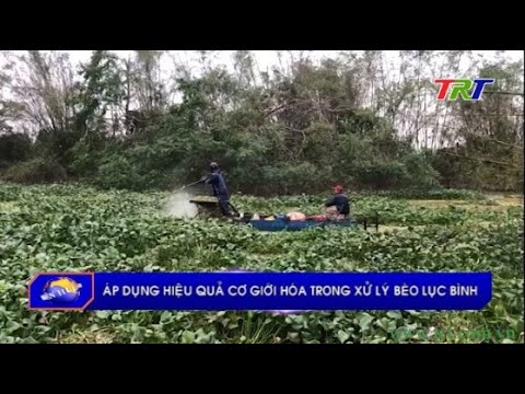 Video: Quản lý bèo - Cách Kiểm soát bèo trong ao