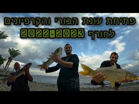 וִידֵאוֹ: מתי עונת הבורי 2020?