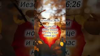 #библия #словобожье #истина #учение #свет #мудрость #мотивациянауспех
