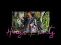 【観葉植物を買うなら5号サイズ】何度も枯らしちゃう方は絶対見て´-初心者だからこそ大きなサイズが育てやすい！観葉植物の育て方/houseplants/観葉植物インテリア/ボタニカルライフ/관엽 식물