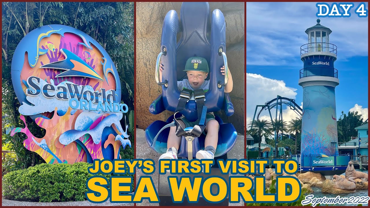 Should You Visit SeaWorld With A Toddler Animals Food Attractions should-you-visit-seaworld-with-a-toddler-animals-food-attractions