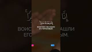 Сура «Сад» 44⠀Чтец «Мансур ас-Салими»⠀⠀ #ислам #nashid #религия #quran @ПрекрасныйКоран ⠀