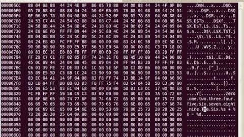 Using hexedit to edit elf file