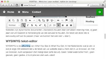 All-In-One Websites, WYSIWYG Text Editor
