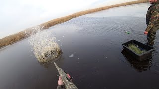 Вернулись и сняли брошенную сеть. Настреляли карасей прямо через лед.