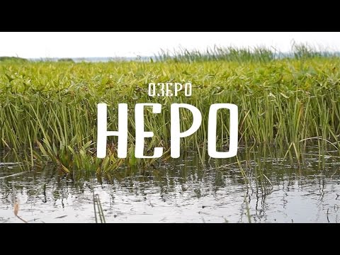 Экспедиция на озеро Неро