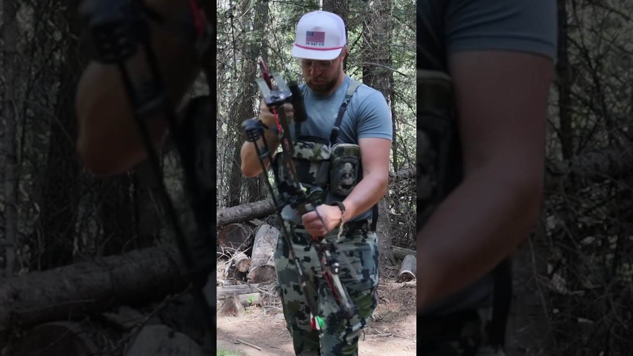 Looking for the 12 ring #archery #mathews #kuiu #bowtech #3d #easton #trufire