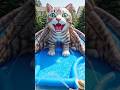 🐱 Giant Cat Waterpark Backyard Transformation #pool