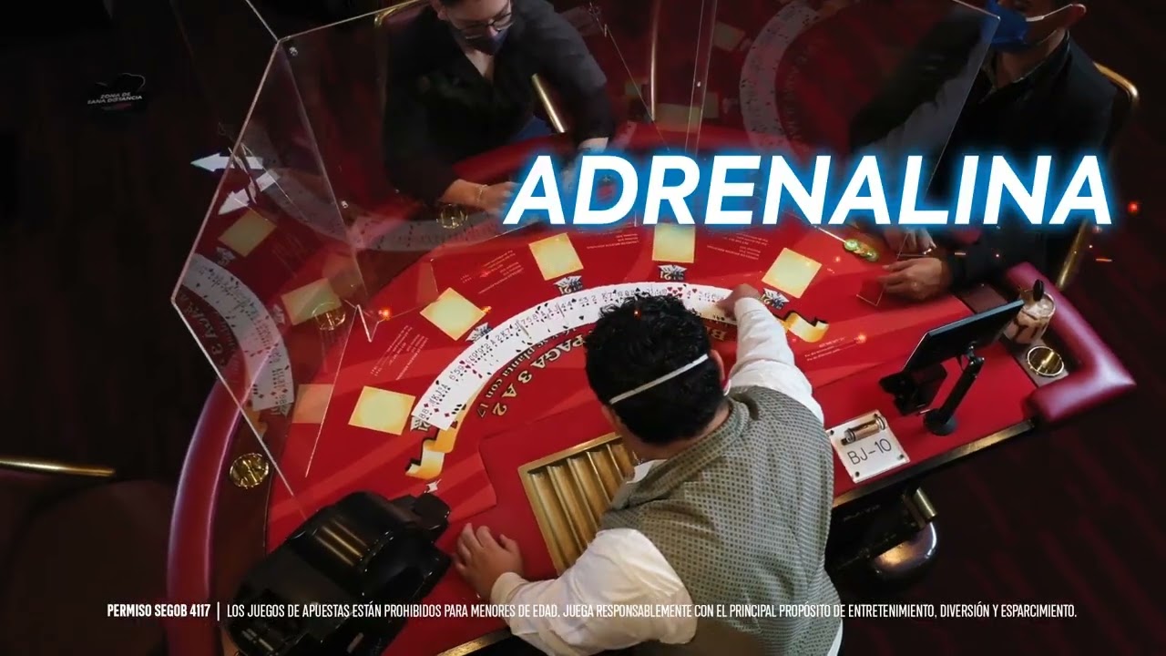 https://leoncasino-pt.eu/jogo-responsavel/