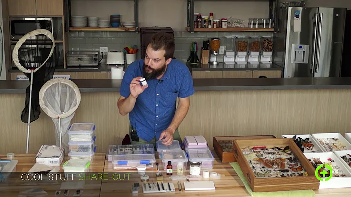 Cool Stuff: Jarod Beukelman on Entomology