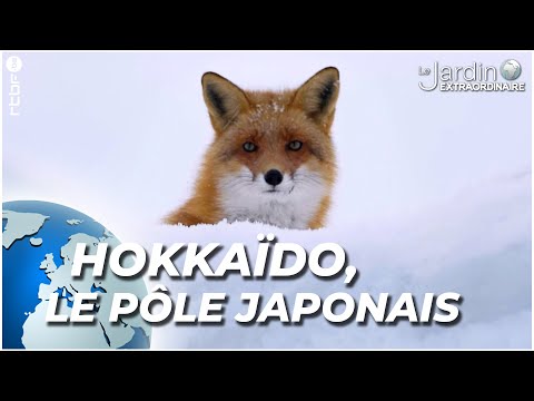 Vidéo: Les meilleurs parcs nationaux d'Hokkaido, au Japon