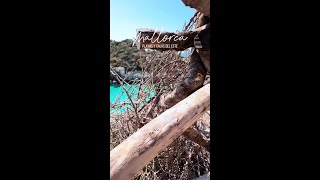 Best Beaches in East Mallorca: Cala Mesquida, Cala Agulla, Cala Varques, and more!