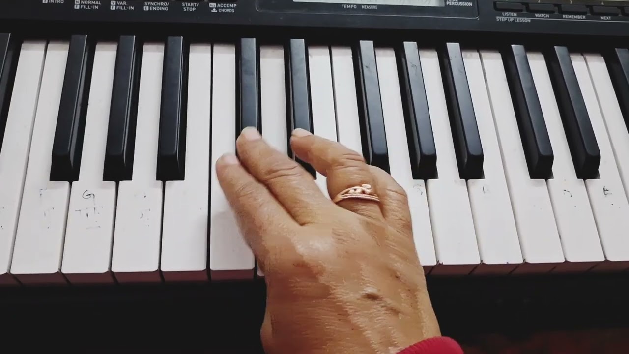 How to play कर्मणयवाधिकारस्ते मा फलेषु ||RSSargamMusic||