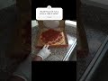 Hot sauce on pizza prank #aprilfools #pizza #prank #foodhacks