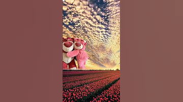 Beautiful nature with rural life |flower 🌺 farming |flowers farming video #flowers #teddy #teddybear